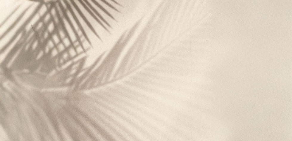 olchones-viscoelastica